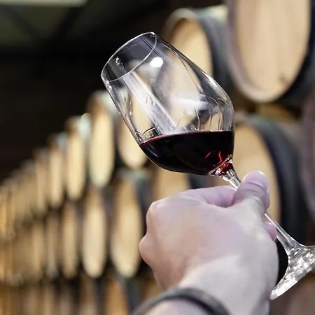 And Ocean Views Sal D'ouro With Parking * Vila Nova de Gaia